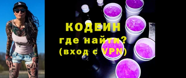 apvp Каменка
