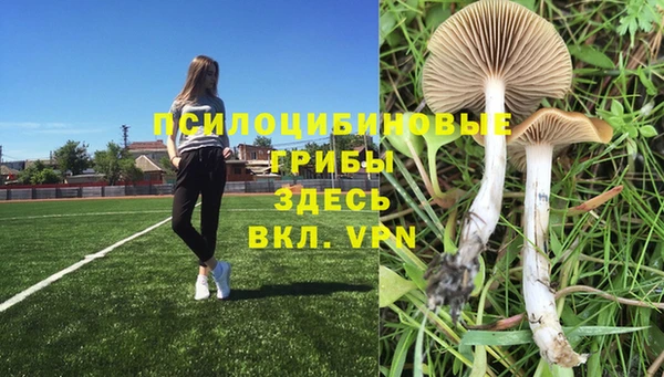 не бодяженный Карпинск