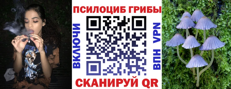 Псилоцибиновые грибы GOLDEN TEACHER  Сим 
